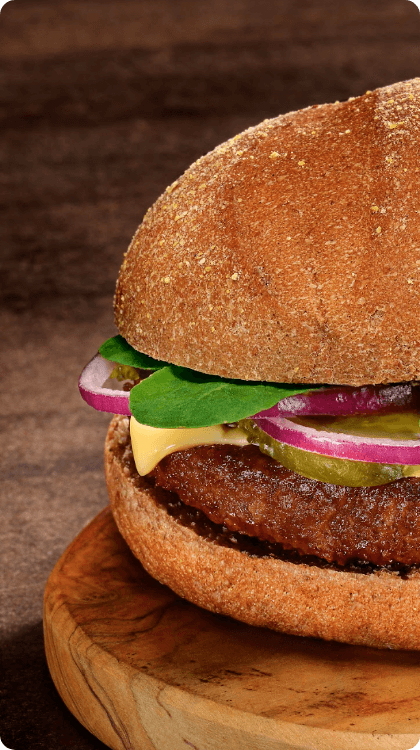 Hamburguer sabor costela